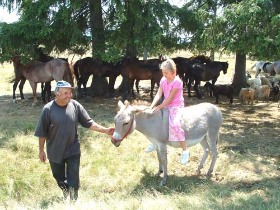 program, trasee, tabere de copii